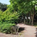 태화연 야영장 1 이미지