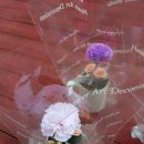 서귀중앙여자중학교 이미지