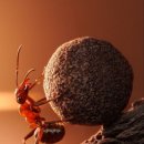 헬스유통 이미지