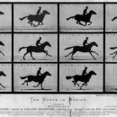 (주)프락시스 이미지