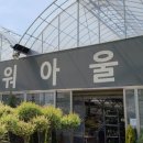 당진야생화
