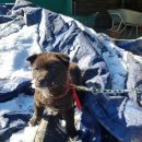 하영경로당 이미지