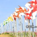 세미기획