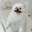 개러리아 송파점 이미지