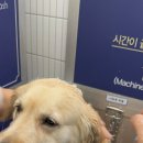 올리스24 두류공원점 네이버블로그