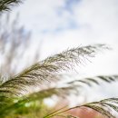 을숙도 철새공원 티스토리