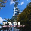 태백로-1 | 태백석탄박물관, 주차 전시 체험까지 알찬 재밌는 강원도 여행지 추천