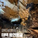 태백로-1 | 태백 가볼만한곳 아이랑 가도 좋은 용연동굴