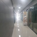 문캣네일