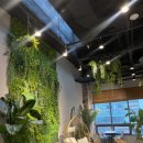 콤마커피 이미지