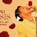 라비(RAVI) - 마포구 | 라비(RAVI)