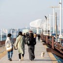 새차 뽑으면 당장 가야 할 '경기도에서 가까운 바다' 4 이미지