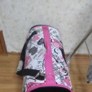 서사라동물병원 이미지