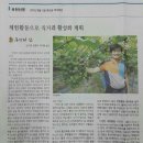 식장산포도농원