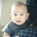 (주)룩포레스트 이미지