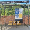 경북애견 | [애견카페 방문 후기🐾] 경북 대구 최대 크기의 애견 카페 방문기 _ 칠곡 왜관읍_ 컴페니언