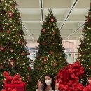 뉴트(Neut) 이미지