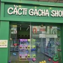 캑티가챠샵 이미지