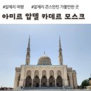 입장기미독립기념탑 | 알제리 두번째로 큰 모스크, 아미르 압델 카데르 모스크 (Amir Abdel Kader Mosque) (알제리 콘스탄틴...