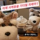 [밥밥] 다지의 &#39;긴자료코 숙대점&#39; 후기