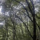 바람의노래 티스토리
