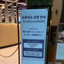 아기랑 실내 나들이 추천 | 인스파이어 오로라쇼 후기