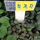 부농농장 이미지