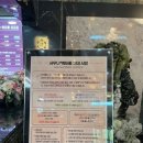 사계절사우나 이미지
