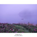 작약꽃펜션 이미지