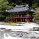 완도22호 이미지