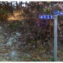 가송민박 이미지