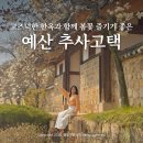 백송공원 화장실 | 충남 예산 추사고택 수선화 봄꽃구경 국내 봄 여행지 데이트 나들이 봄에 가볼만한곳