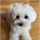 바른약속치과의원 이미지