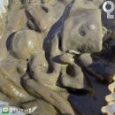 배떡 - 동래구 여고로75번길 79-2 | 배떡