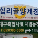 장미산 농장 Daum카페