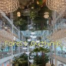 forest | 용인 대형카페 포레스트 아웃팅스(forest outings) 방문 후기 : 디저트부터 식사까지 완벽