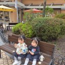 금당휴게소 | [2025년 10월] 쌍둥이들과 2박 3일 여주여행