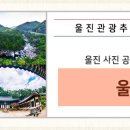 친환경엑스포로1 네이버블로그