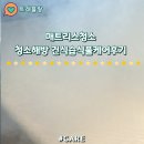 해방 | 매트리스청소 청소해방 건식습식풀케어후기