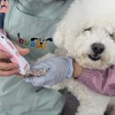 성곡축산 네이버블로그