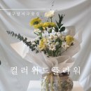 컬러위드플라워