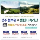 블루원N