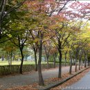 아침풍경 이미지