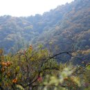 무무산방 이미지