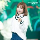 채원 이미지