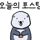 6까사
