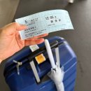 미니펍양산 | 도쿄 3박 4일 1일차 (청주 - 나리타공항/대전에서 청주카카오택시(벤티),다이소,유니클로 키티, 라이온...