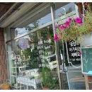 꽃집아가씨 이미지