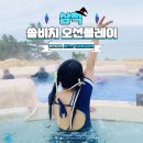 (주)포유레저 실외수영장 | 삼척 쏠비치 오션플레이 할인 및 쏠비치 식당 및 사우나
