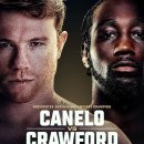 크로포드 이미지